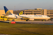 United Airlines Boeing 737-824 (N77536) at  Tampa - International, United States