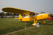 (Private) Fairchild 24R-46 (N77661) at  Oshkosh - Wittman Regional, United States