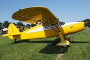 (Private) Fairchild 24R-46 (N77661) at  Oshkosh - Wittman Regional, United States