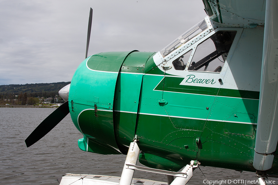 Beluga Air de Havilland Canada DHC-2 Mk I Beaver (N77BA) | Photo 360206