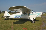 (Private) Piper PA-12-125 Super Cruiser (N7801H) at  Bienenfarm, Germany