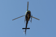 Broward County Sheriff's Office Airbus Helicopters H125 (N781BC) at  Ft. Lauderdale - Executive, United States