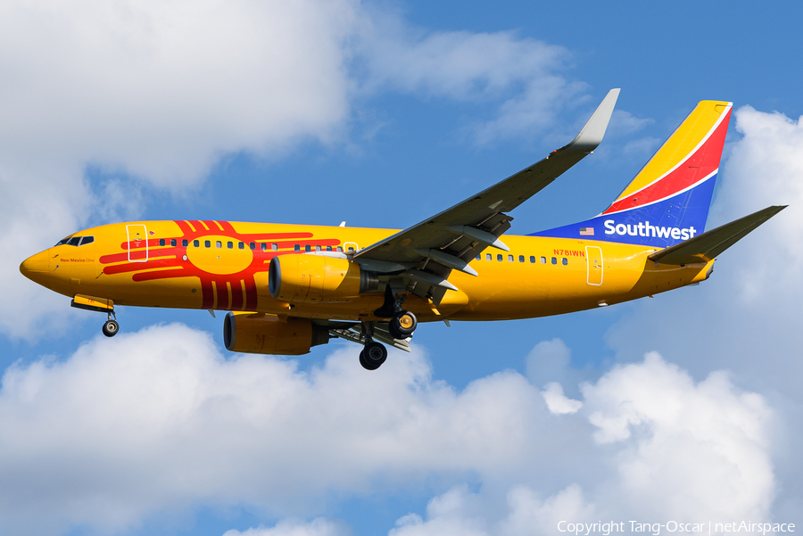 Southwest Airlines Boeing 737-7H4 (N781WN) | Photo 463880