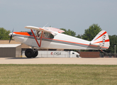 (Private) Piper PA-12 Super Cruiser (N78532) at  Oshkosh - Wittman Regional, United States