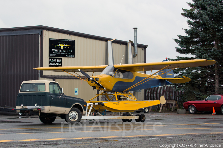 (Private) Piper PA-11 Cub Special (N78601) | Photo 30826