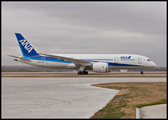 Boeing Company Boeing 787-8 Dreamliner (N787EX) at  Ft. Worth Meacham International, United States