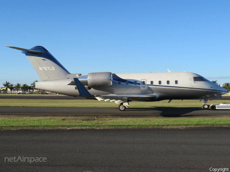 (Private) Bombardier CL-600-2B16 Challenger 604 (N787LG) | Photo 489325