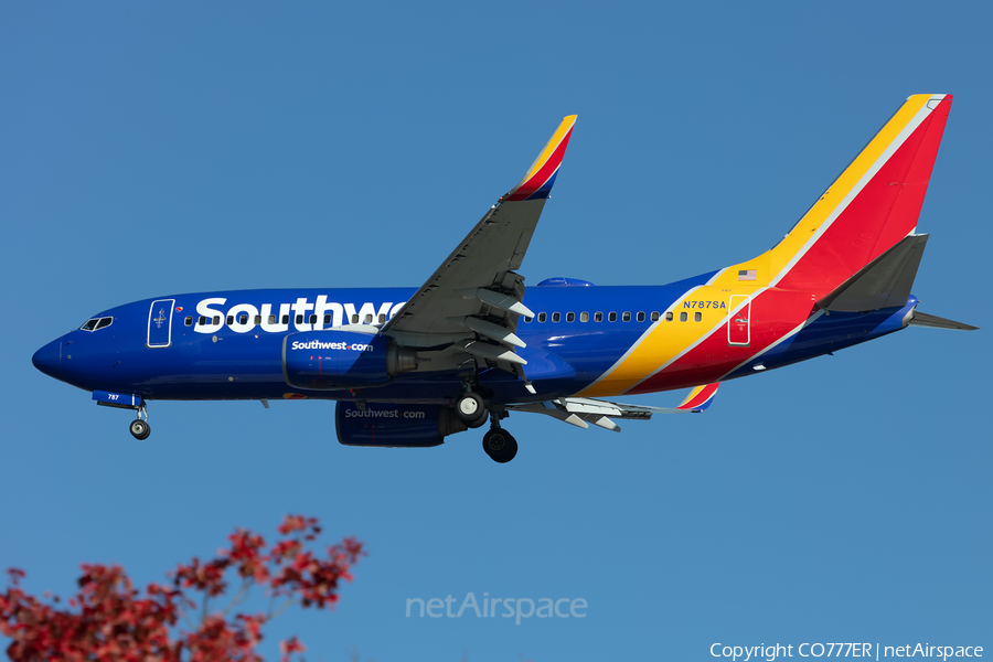 Southwest Airlines Boeing 737-7H4 (N787SA) | Photo 425241