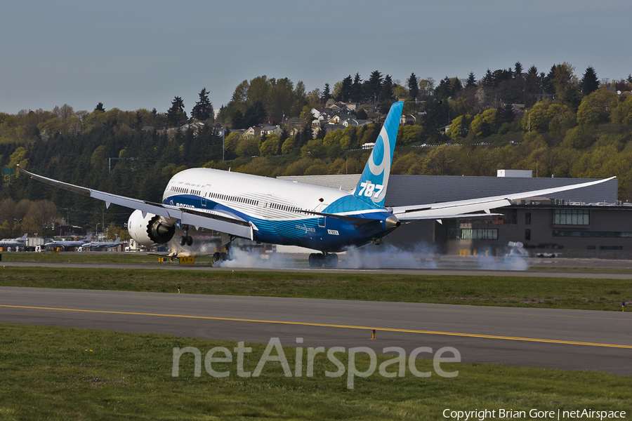 Boeing Company Boeing 787-9 Dreamliner (N789EX) | Photo 45166