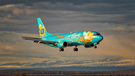 Alaska Airlines Boeing 737-490 (N791AS) at  Anchorage - Ted Stevens International, United States