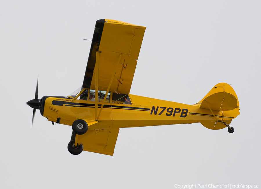(Private) Aviat A-1B Husky (N79PB) | Photo 96299