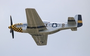 (Private) North American P-51D Mustang (N7TF) at  Detroit - Willow Run, United States