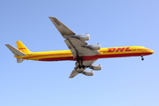 DHL (Astar Air Cargo) McDonnell Douglas DC-8-73(F) (N804DH) at  Los Angeles - International, United States