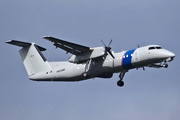 United States Customs and Border Protection de Havilland Canada DHC-8-315 (N806MR) at  San Juan - Luis Munoz Marin International, Puerto Rico