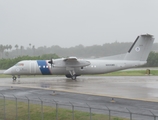 United States Customs and Border Protection de Havilland Canada DHC-8-315 (N806MR) at  San Juan - Luis Munoz Marin International, Puerto Rico