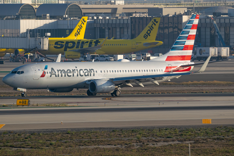 American Airlines Boeing 737-823 (N809NN) at  Los Angeles - International, United States