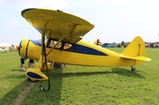 (Private) Fairchild 24W-46 (N81201) at  Oshkosh - Wittman Regional, United States