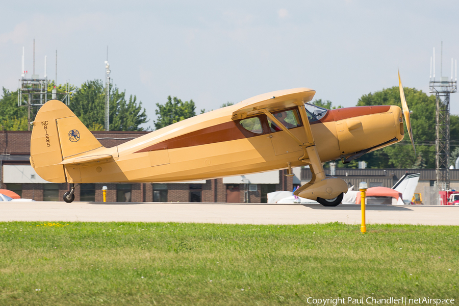 (Private) Fairchild 24R-46 (N81285) | Photo 254727