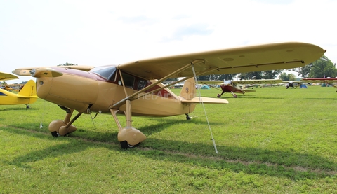 (Private) Fairchild 24R-46 (N81285) at  Oshkosh - Wittman Regional, United States