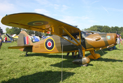 (Private) Fairchild 24R-46 (N81325) at  Oshkosh - Wittman Regional, United States