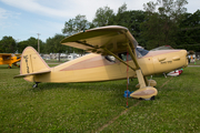 (Private) Fairchild 24R-46 (N81363) at  Oshkosh - Wittman Regional, United States