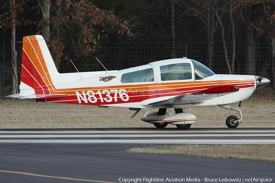 (Private) Grumman American AA-5B Tiger (N81376) | Photo 158069