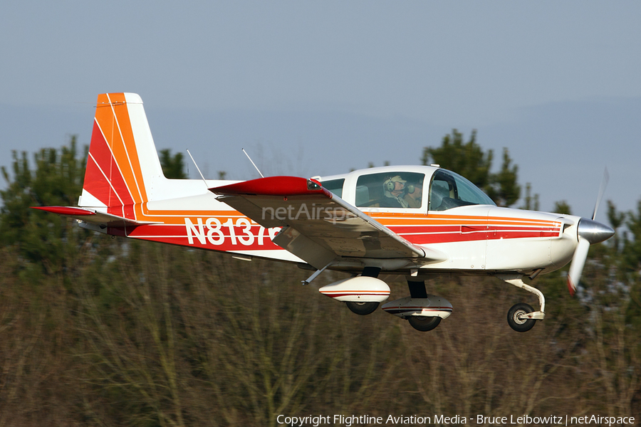 (Private) Grumman American AA-5B Tiger (N81376) | Photo 158076