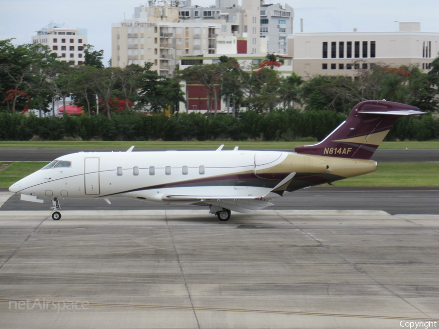 (Private) Bombardier BD-100-1A10 Challenger 350 (N814AF) | Photo 324579