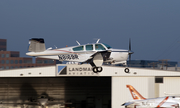 (Private) Beech V35B Bonanza (N8169R) at  Dallas - Addison, United States