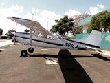 (Private) Cessna A185F Skywagon II (N81LA) at  San Juan - Fernando Luis Ribas Dominicci (Isla Grande), Puerto Rico