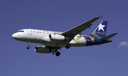 US Airways Airbus A319-132 (N822AW) at  Dallas/Ft. Worth - International, United States