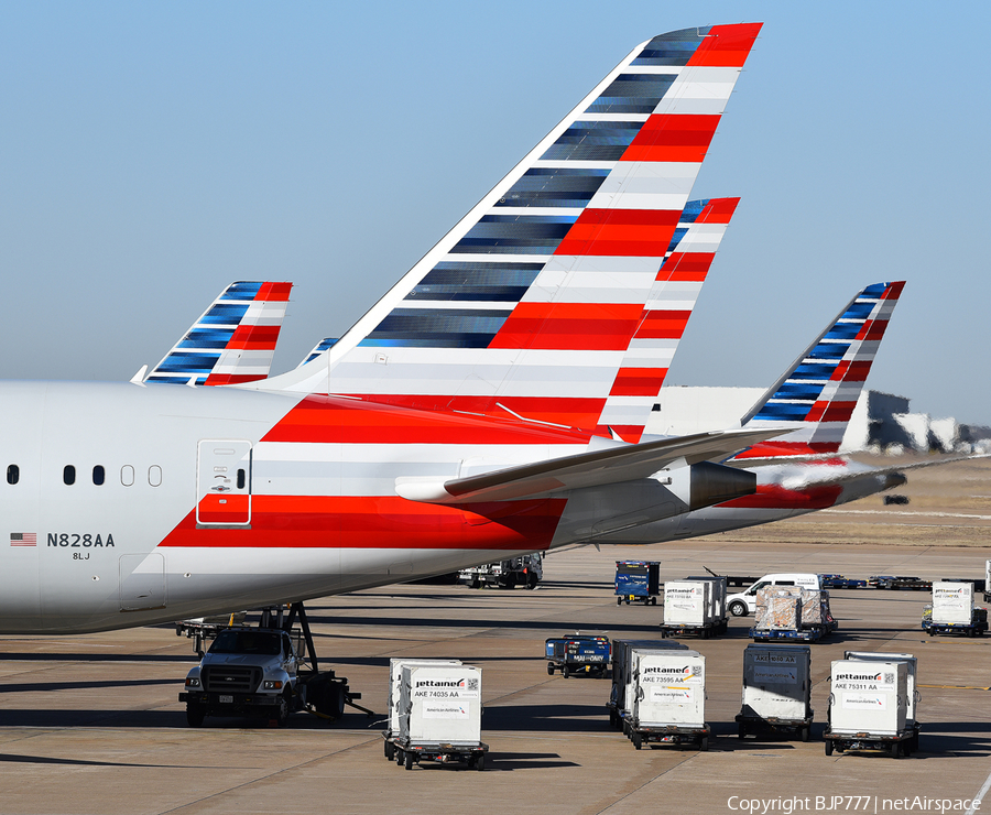 American Airlines Boeing 787-9 Dreamliner (N828AA) | Photo 225869