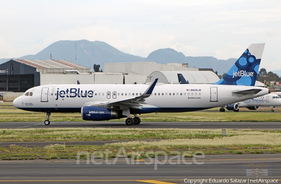 JetBlue Airways Airbus A320-232 (N828JB) | Photo 376727