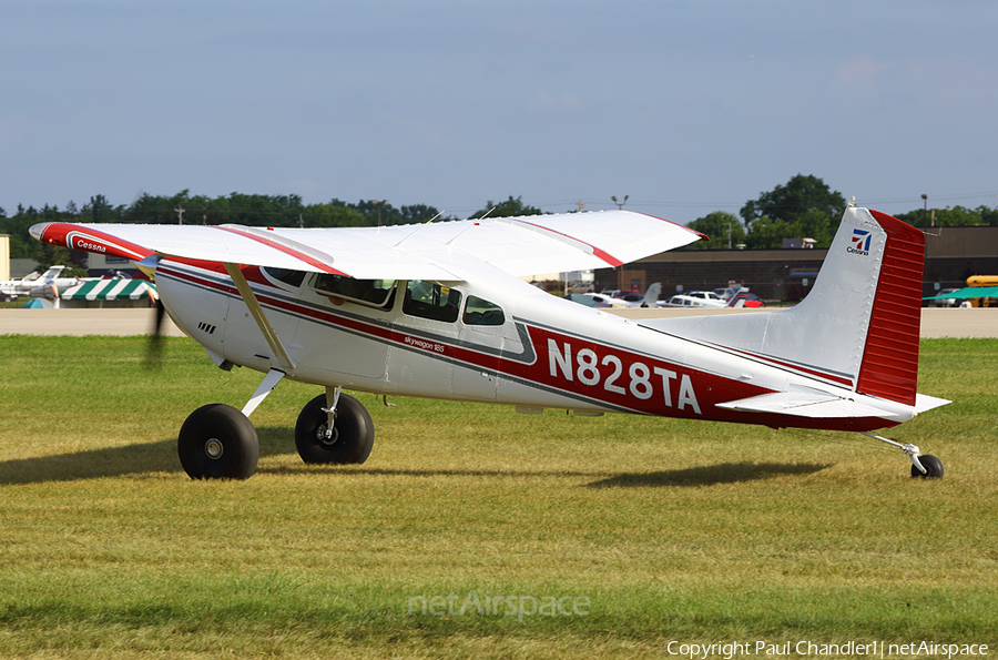 (Private) Cessna A185F Skywagon II (N828TA) | Photo 64229