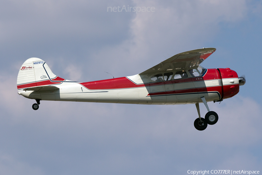 (Private) Cessna 195B Businessliner (N829TJ) | Photo 7087