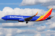 Southwest Airlines Boeing 737-8H4 (N8301J) at  Seattle/Tacoma - International, United States