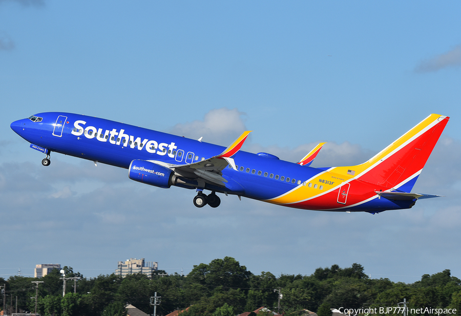 Southwest Airlines Boeing 737-8H4 (N8313F) | Photo 394742