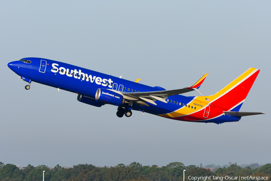 Southwest Airlines Boeing 737-8H4 (N8317M) | Photo 661363