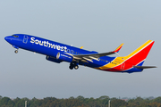 Southwest Airlines Boeing 737-8H4 (N8317M) at  Tampa - International, United States