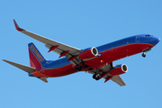 Southwest Airlines Boeing 737-8H4 (N8319F) at  Windsor Locks - Bradley International, United States