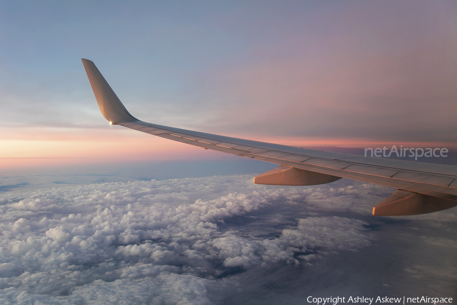 American Airlines Boeing 737-823 (N835NN) | Photo 93832