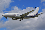 Boeing Company Boeing 737-7BC(BBJ) (N836BA) at  Farnborough, United Kingdom