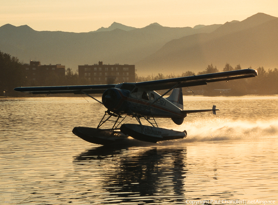 (Private) de Havilland Canada U-6A Beaver (N836KA) | Photo 104003