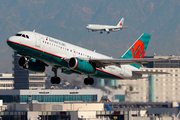 American Airlines Airbus A319-132 (N838AW) at  Los Angeles - International, United States