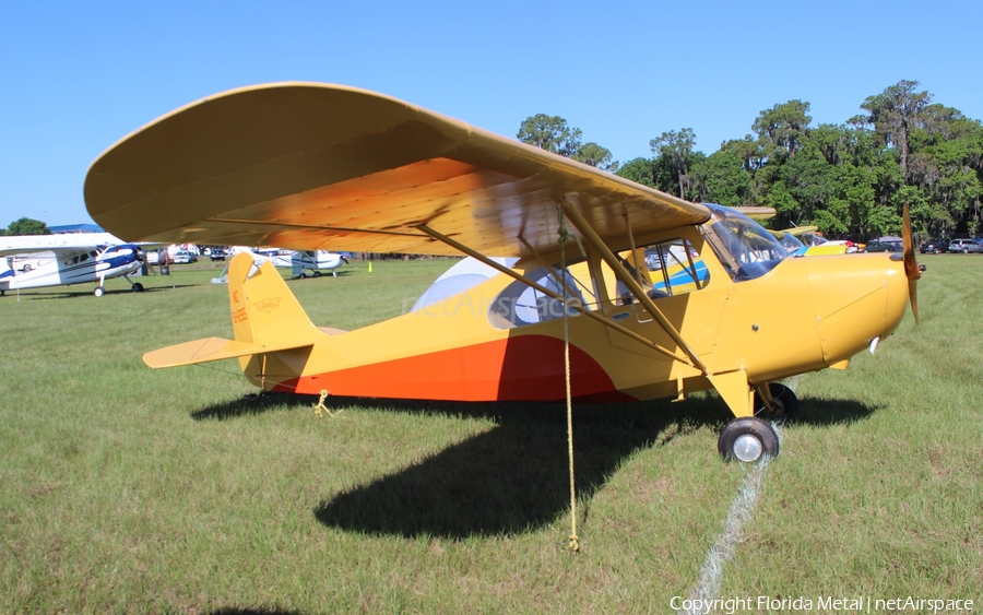 (Private) Aeronca 7AC Champion (N84295) | Photo 407000