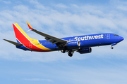 Southwest Airlines Boeing 737-8H4 (N8515X) at  Windsor Locks - Bradley International, United States