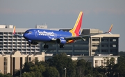 Southwest Airlines Boeing 737-8H4 (N8528Q) at  Tampa - International, United States