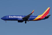 Southwest Airlines Boeing 737-8H4 (N8544Z) at  Seattle/Tacoma - International, United States