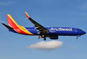 Southwest Airlines Boeing 737-8H4 (N8551Q) at  Dallas - Love Field, United States