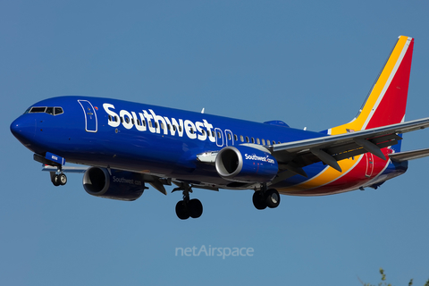 Southwest Airlines Boeing 737-8H4 (N8556Z) at  Dallas - Love Field, United States